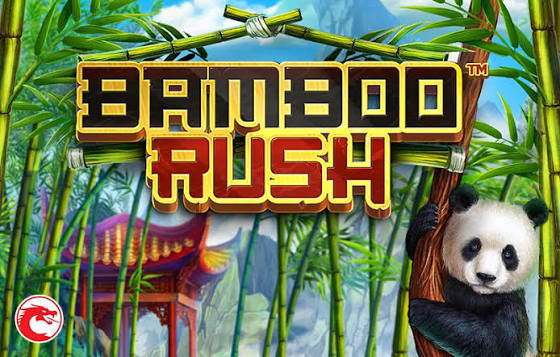 Cover art for Bamboo Rush, credited to betsoft.com