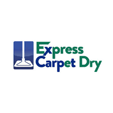 7 best rockville carpet cleaners