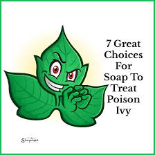 soap for poison ivy how to do it right