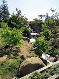 Picture Of The Japanese Garden