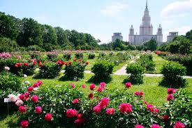 botanical garden of moscow state