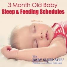 sleep schedule with feedings
