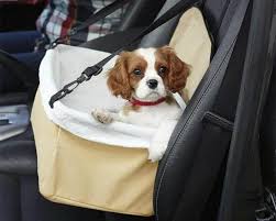 Using the best dog car seats from the early age of your pooch ensures the safety, protection, and optimum comfort during car journeys. The Best Car Seats For Dogs 2019 Review Doggie Woof