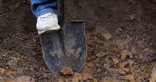 How To Improve Heavy Clay Soil