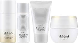 set kanebo sensai absolute silk