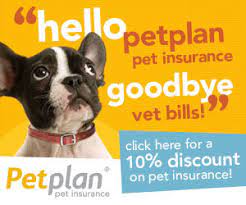 Maybe you would like to learn more about one of these? Pet Insurance Ehd Insurance