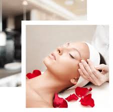 diploma in beauty therapy services