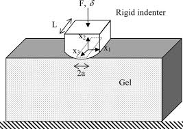 elastic properties and permeability