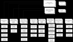 File Bureau Of Diplomatic Security Organization Chart Png