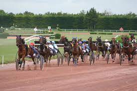 analyse forme cheval
