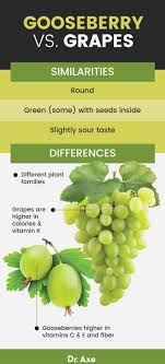 indian gooseberry benefits nutrition