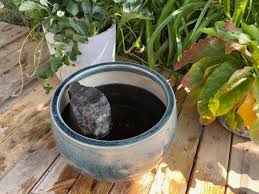 Water Garden Out Of A Planter Pot