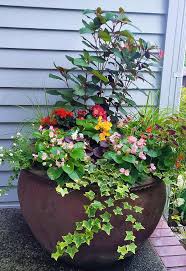 Container Planting Ideas Spring