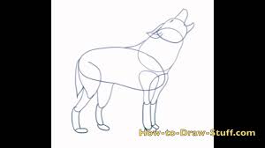 how to draw a wolf step by step you
