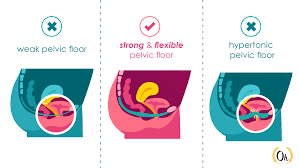 pelvic floor health guide 7