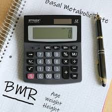 Bmr Basal Metabolic Rate Calculator