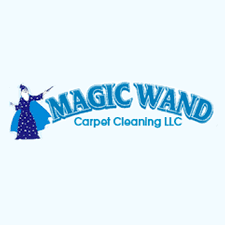 magic wand carpet cleaning 1635