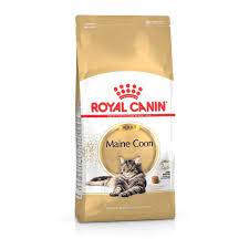 royal canin maine dry food cat