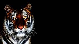 4K Pic of 3D Tiger