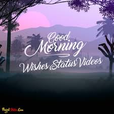 good morning wishes status videos