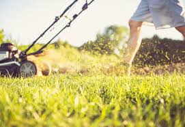 Summer Lawn Mowing Tips Planet Natural