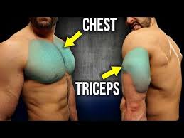 train chest and triceps together