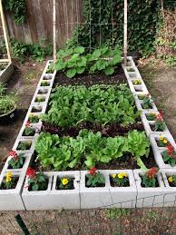 Organic Raised Bed Garden Made With
