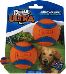 the 9 best dog fetch and toys