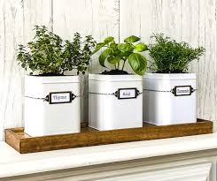 Diy Indoor Herb Garden Kit