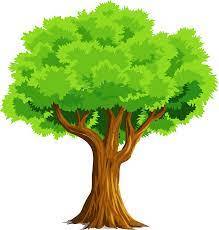 Colorful Natural Tree clipart. Free download transparent .PNG | Creazilla
