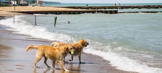 centennial dog beach winnetka il