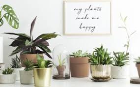 Contenido 2 decoración con plantas colgantes 8 cuadro con plantas suculentas Como Decorar Con Plantas Artificiales Bekia Hogar