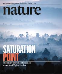 march: rainforest nature news and