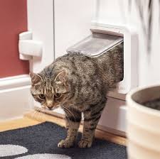 Fitted Cat Flaps In Glass Doors Suffolk
