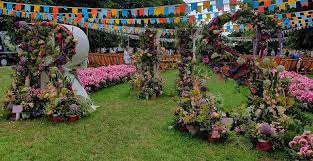 tickets to rhs flower shows 2020 now on