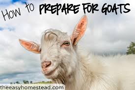 how to prepare for goats the