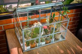Indoor Succulent Garden Ideas