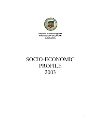 2003 Bulacan Socio Economic Profile