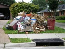 Garbage Removal Business