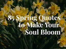 To celebrate the first day of spring on march 20, 2021, and the entire season of hope and new beginnings, we have gathered the 50 best spring quotes to brighten your day, as well as the months. 85 Spring Quotes To Make Your Soul Bloom Keep Inspiring Me