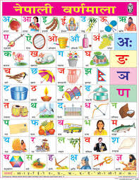 Alphabet Charts Hindi Alphabet Chart Manufacturer From Delhi