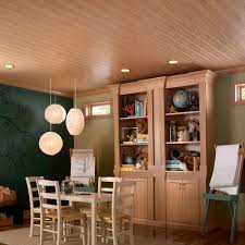 bamboo suspended ceiling woodhaven
