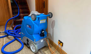 carpet cleans sistermatic cleaning