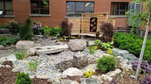 serenity garden opens for patients and