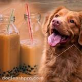 can-dogs-eat-milk-tea-pearls