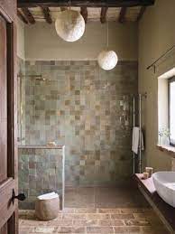 Walk In Shower Ideas Bathroom Designs