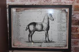 French Equine Anatomy Chart Le Cheval In Oconomowoc Wi Is