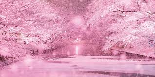 弘前公園「冬に咲くさくらライトアップ」|日本の絶景 JTB 感動の瞬間（とき）