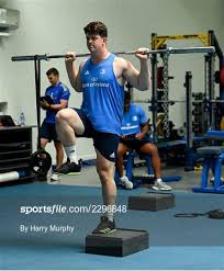 sportsfile leinster rugby gym session