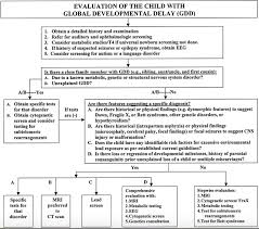 Global Developmental Delay Evaluation Evidence Based